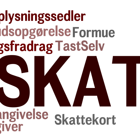 Informationsmøder - Styr på skatten