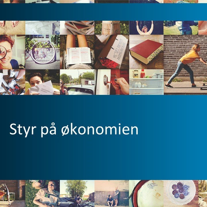 Styr på økonomien